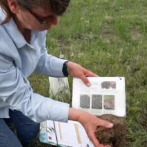 Profile photo of Sue FitzGerald