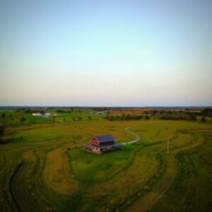 Profile photo of Laila Alizadeh