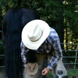 Profile photo of David King