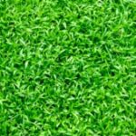 Profile photo of Andrzej Wegrzyn