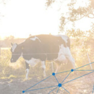 Profile photo of Wytse Bouma