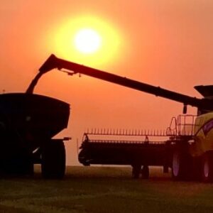 Profile photo of Darcy Nestibo