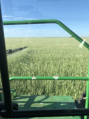 C5AB31B0-ADB2-44F0-B694-3B896E445EF5