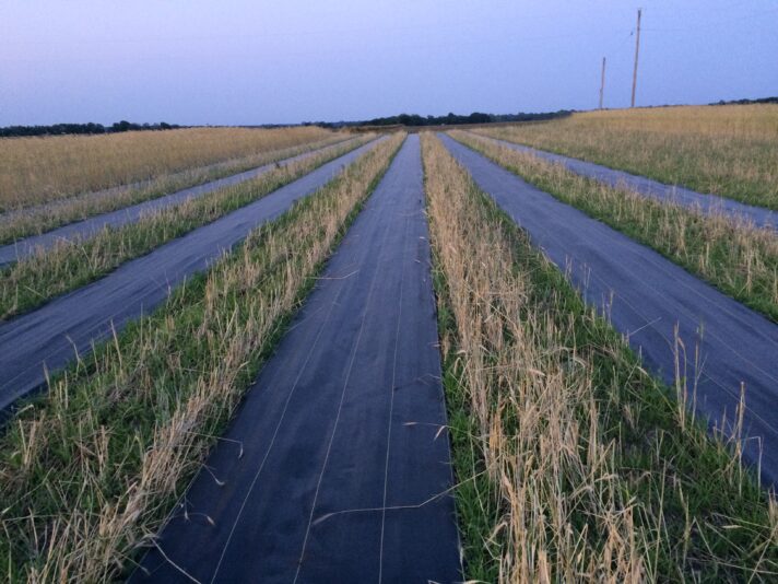 BA6A165C-3658-4BEB-94B6-CCEF24C2D23E