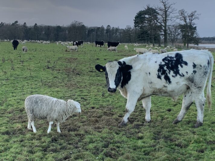 FDB7C1C9-A448-4141-82B6-E5D2AF10D7D1