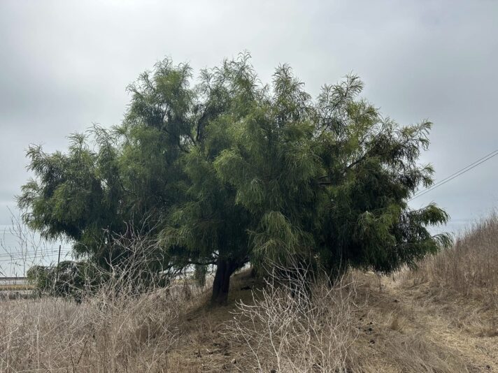 461557680_1509885436328738_161342453476430816_n