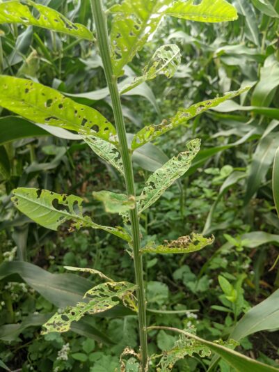 PXL_20210823_195741996