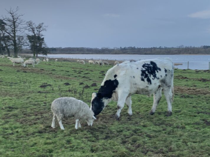 3F1895C4-5F65-4736-9137-B31DB724D043