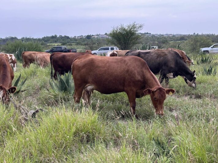 459533954_1499728837344398_1373980707917492888_n