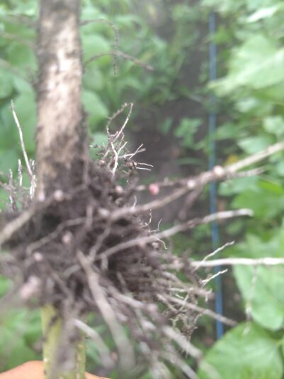 IMG_20210824_185513795