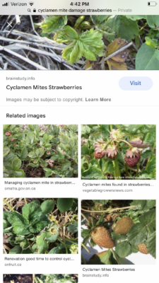 9C02A044-3B8E-4EA3-A6CC-56EF31FA4AE1