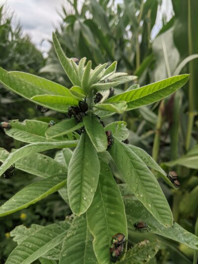 PXL_20210823_195700809