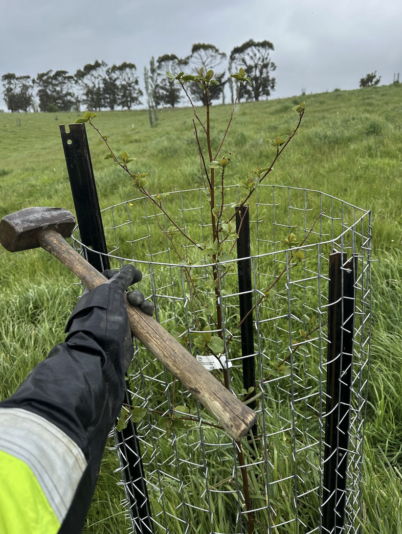 Screenshot 2024-11-26 at 14.43.28