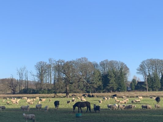 B90E8036-B581-43D6-9185-A46AA2709EED