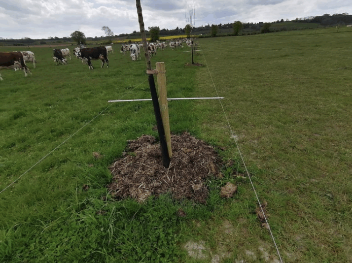 Screenshot 2024-11-26 at 14.42.23