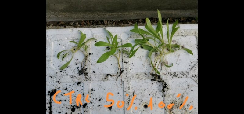 SANASOIL 0-50%-100%