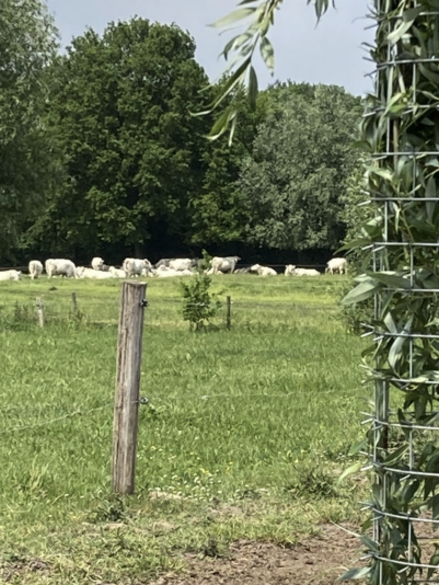 Screenshot 2024-11-26 at 14.43.10