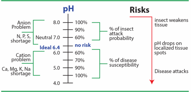 csm_pH_plant_tissue_03_1c717329fa