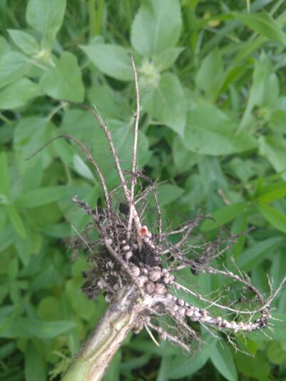 IMG_20210824_190119592