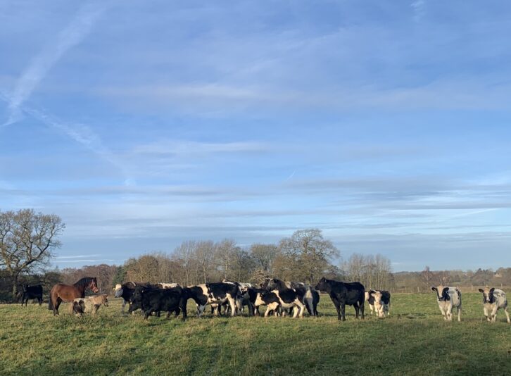 A013D481-B5FC-4515-B723-E3C889C3616C