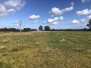 5F01FD9F-5B26-4192-8A41-CC5170F0391F