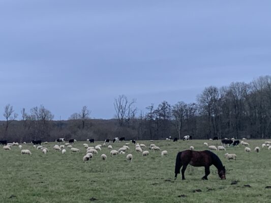 B352AB59-0DB1-4485-A849-895AA7E6A798