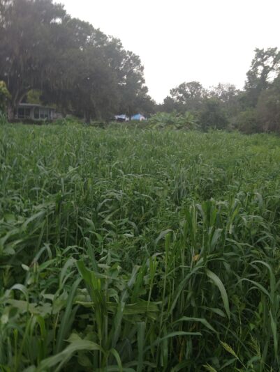 IMG_20210824_190303089