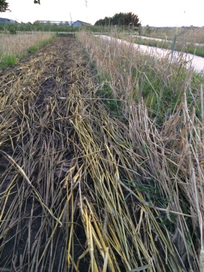 7628E5B3-7ADB-40CB-A483-155561AC50F2