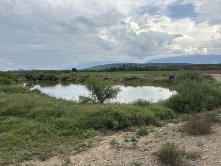 459640714_1499729240677691_8775431739852128604_n