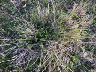 DCD3AC36-2E6F-4F1A-A2B2-7B7FCEA6CECF