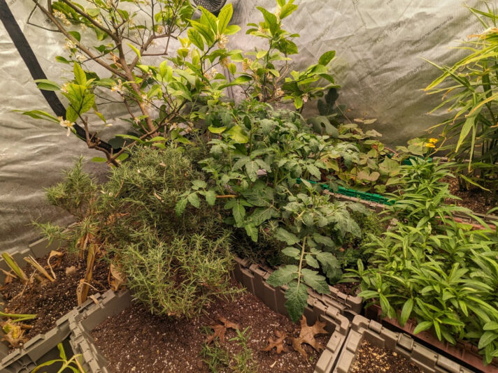 PXL_20231121_171612254