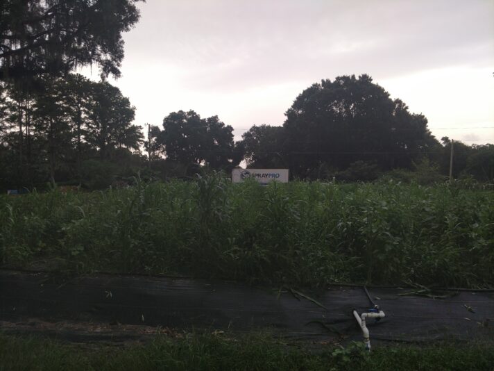 IMG_20210824_190335100