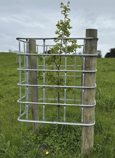 Screenshot 2024-11-26 at 14.44.22