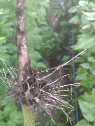 IMG_20210824_185548313