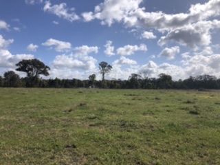 769D633E-EC68-4E26-A6BF-8DD98BDCF941