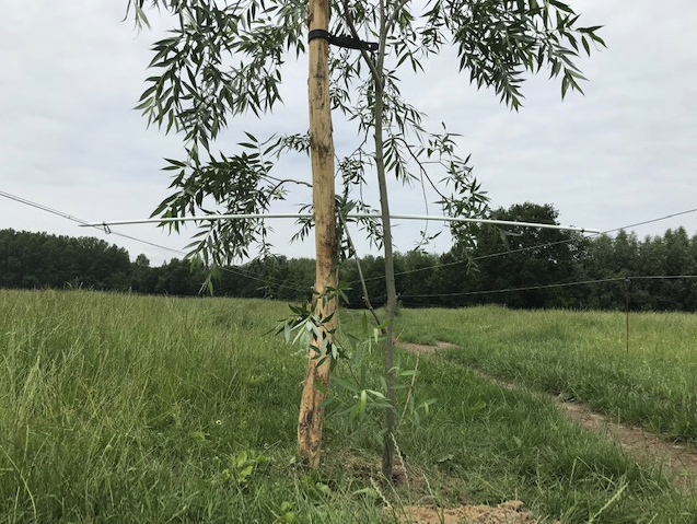 Screenshot 2024-11-26 at 14.41.23