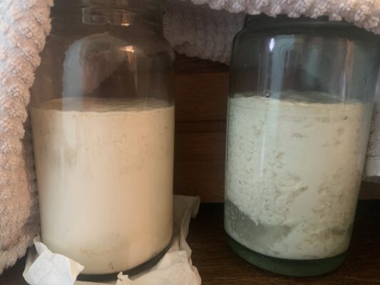 006A867C-C506-4353-BCFC-2E1EAD79E287