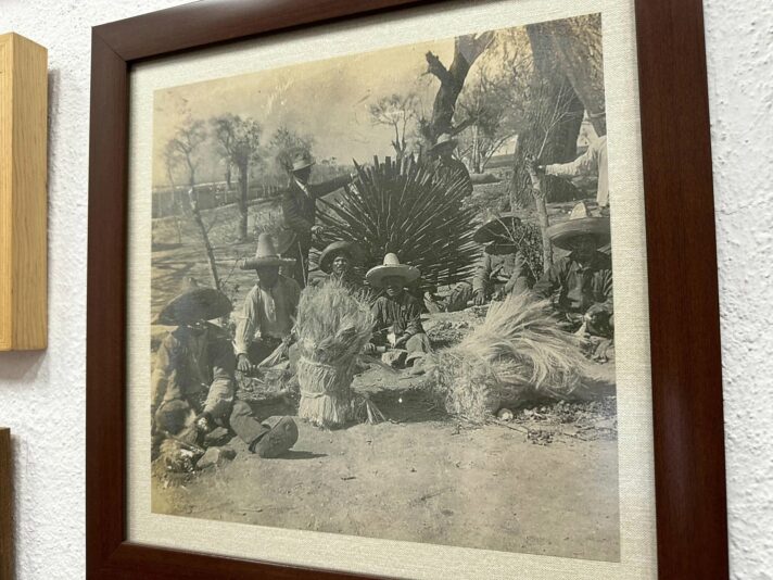 459547390_1500030563980892_1202506394205296158_n