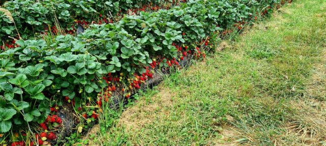 20201112_103424-1200x540