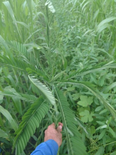 IMG_20210824_190140787