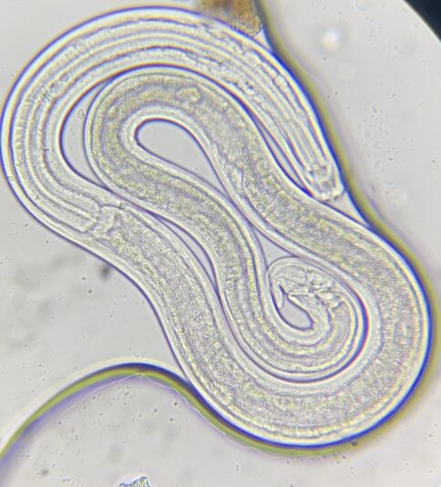 F1E2CE4B-F203-478C-8C28-7EB10321A8BE