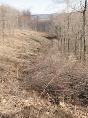 Screenshot 2024-11-26 at 15.32.06