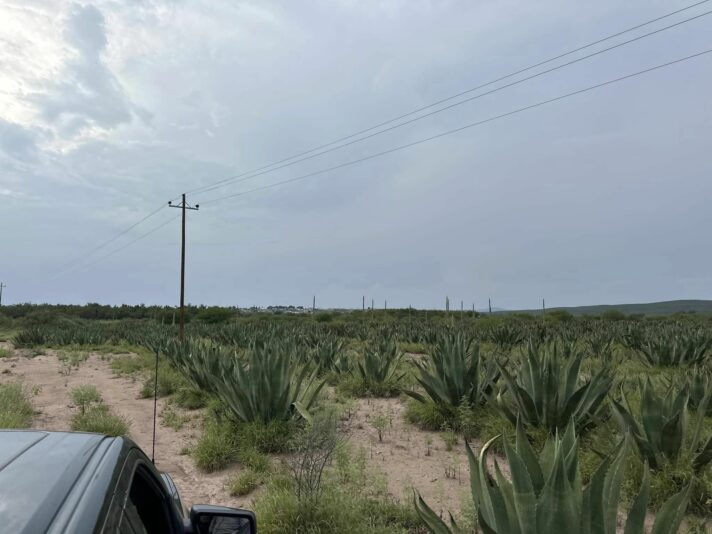 459656097_1499728550677760_3309108590871669718_n