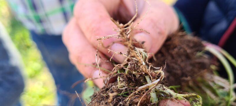 20230414_151956-1500x675