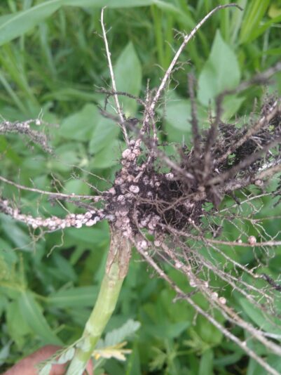 IMG_20210824_190055712