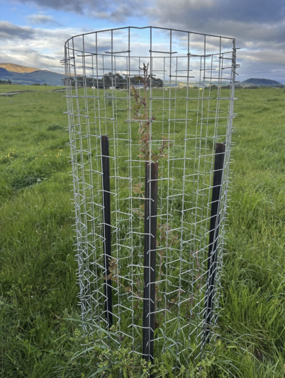 Screenshot 2024-11-26 at 14.43.41