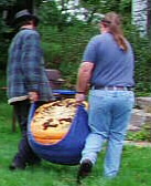 PUMPKIN2