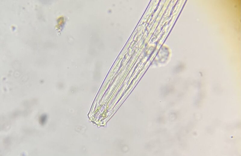 E54E0C3B-2F64-4988-9B61-A8B312AD02AE