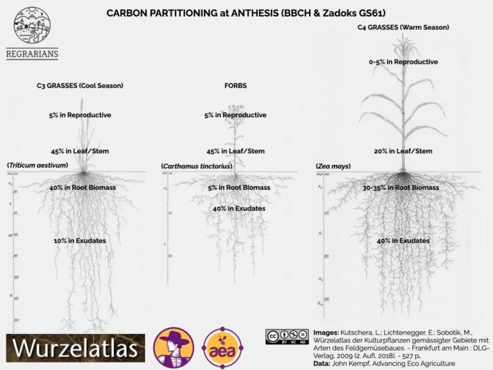 466727218_1540407686609846_2048653353154453630_n