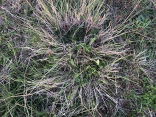 19D94939-2D7E-4585-883D-7D0B2F210174